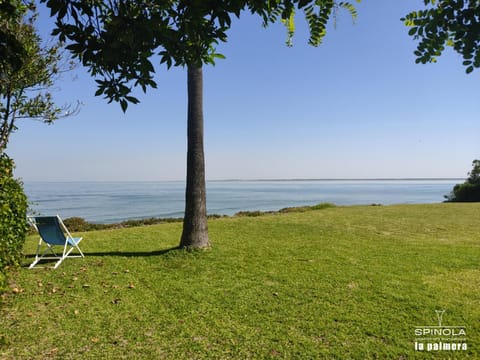 Natural landscape, River view, Sea view