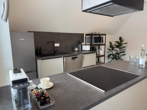 Kitchen or kitchenette, dishwasher, stove, toaster