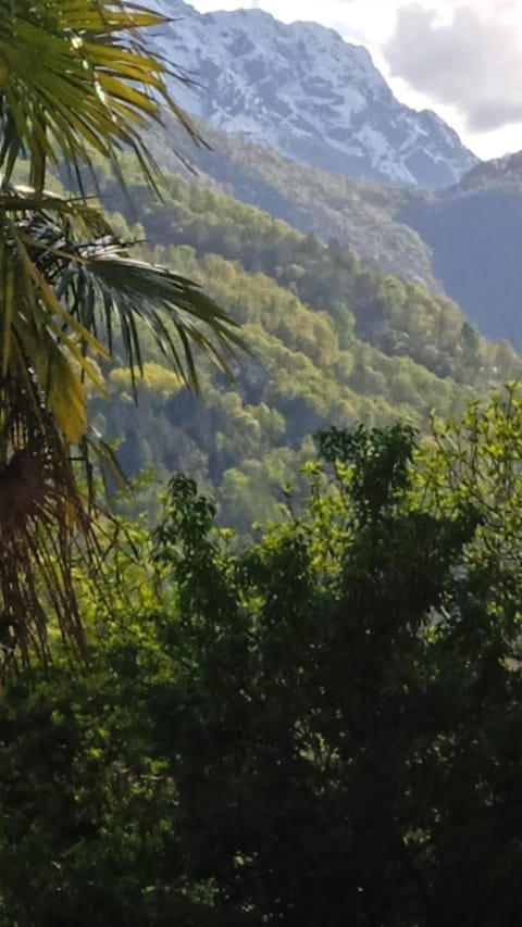 Casa Francesca Apartment in Canton of Ticino