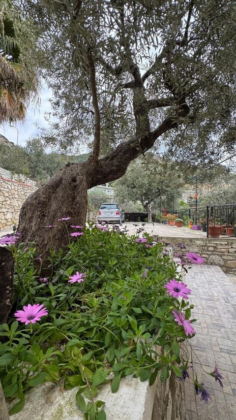 Antonia Rooms Qeparo Bed and Breakfast in Vlorë County, Albania