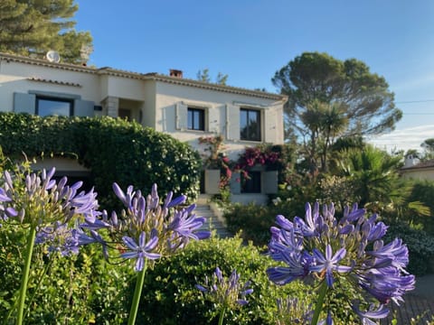 Property building, Day, Garden