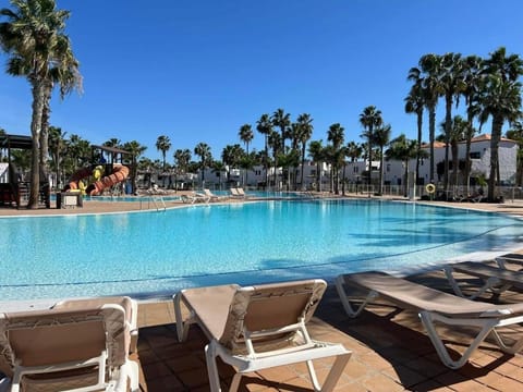 Day, Swimming pool, sunbed