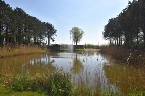 Uniek privé natuurdomein voor 14 personen House in Ghent