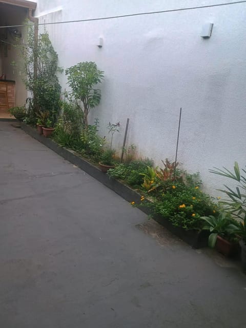 Natural landscape, Garden view