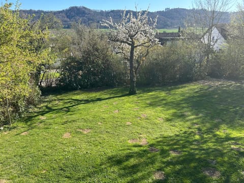 Spring, Day, Natural landscape, Garden, Garden view, Mountain view