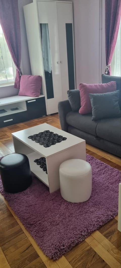 Apartman VASKE Apartment in Vojvodina