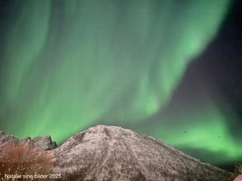 Stranda Apartment Apartment in Nordland, Norway