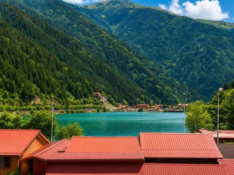 Balcony/Terrace, Balcony/Terrace, Lake view, Lake view
