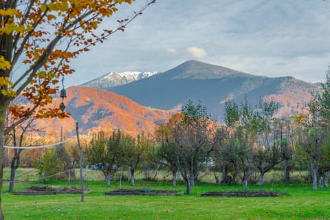 Nearby landmark, Spring, Day, Natural landscape, Garden, Mountain view