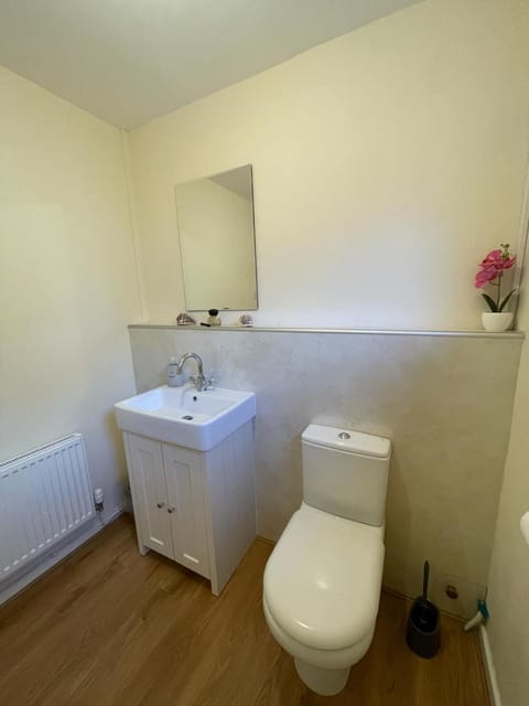 20 Fairview Chepstow House in Wales