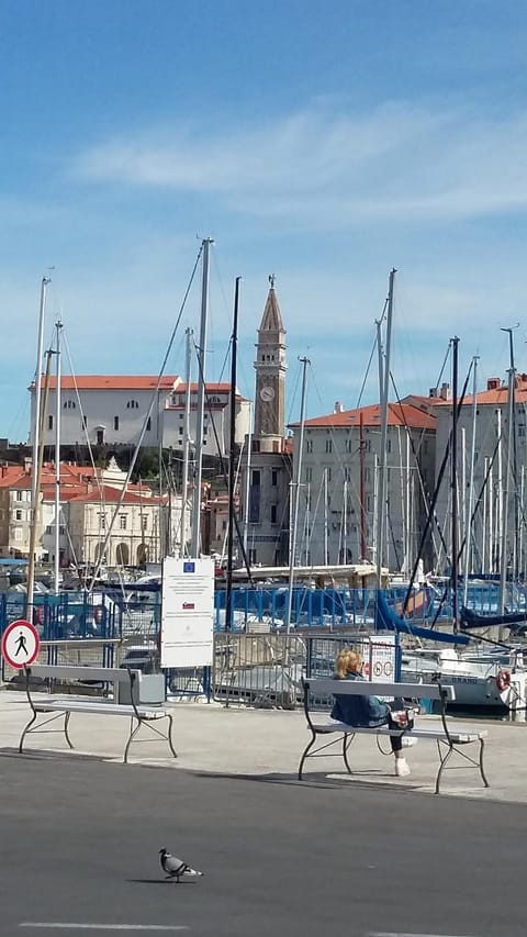 apartma DANICA Apartment in Piran