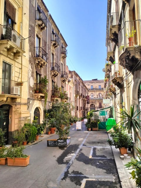 Property building, Spring, Day, Neighbourhood, City view, Street view, Quiet street view