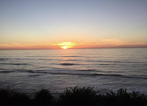 Sunset Cliffs Oceanfront Oasis, San Diego - Stunning Views & Ocean Sounds Apartment in Ocean Beach