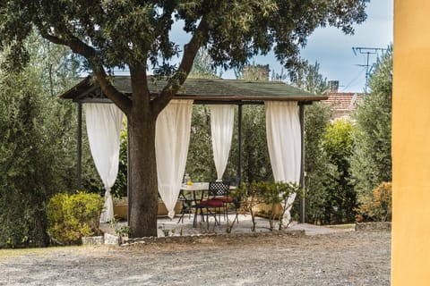 Spring, Day, Garden, Dining area, Garden view