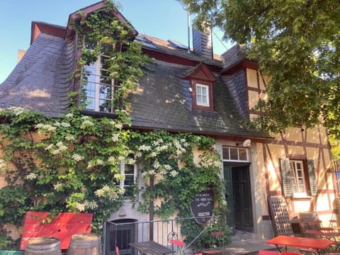 Property building, Garden, Garden view