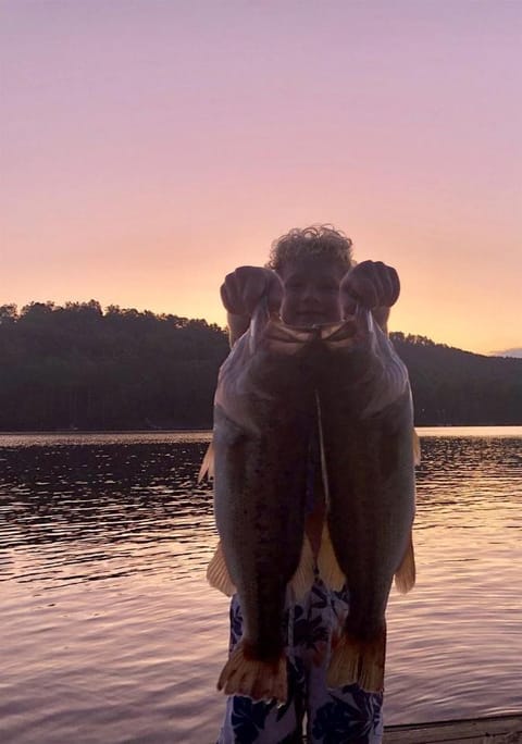 Enchanting Cabin with Breathtaking Sunset and Lake Views in North Carolina Cabin in Lake Glenville