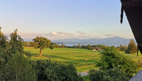 Moier-Hof LEX Farm Stay in Salzburgerland