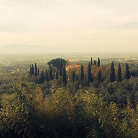 View (from property/room)