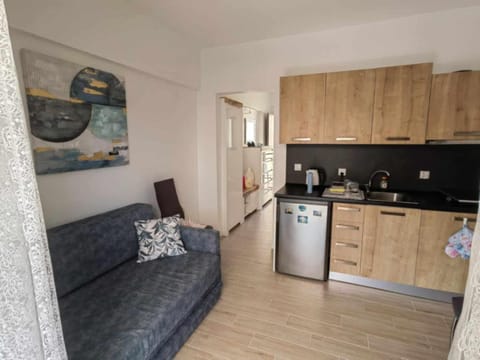 Apartament Eleni Apartment in Halkidiki