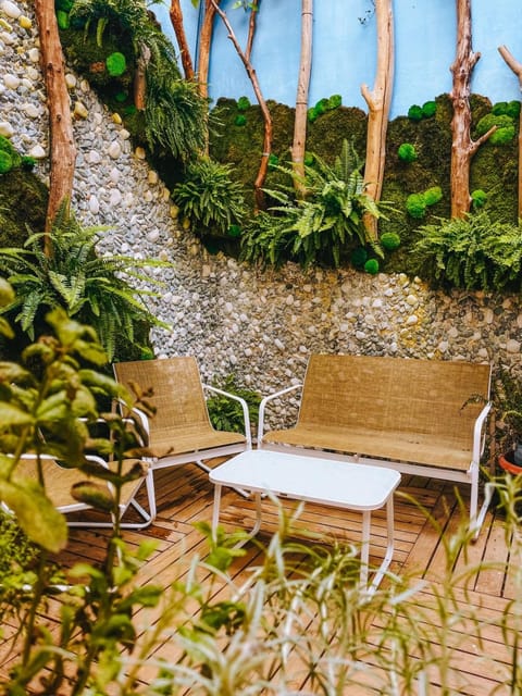 Casa del fotógrafo Apartment in Gandia