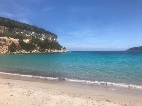 Nearby landmark, Beach