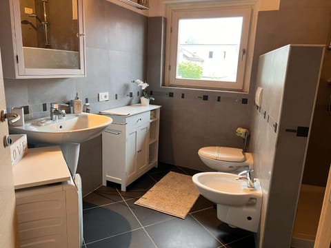 Toilet, Bathroom, bidet