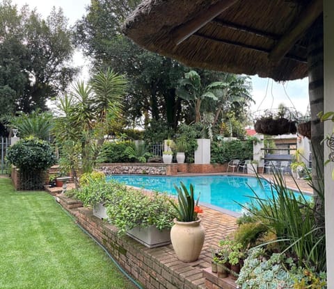 Garden, Garden view, Swimming pool