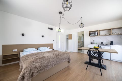 Bed, Kitchen or kitchenette, Living room, Photo of the whole room, Dining area, Bedroom