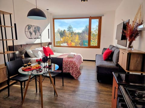 Bed, Kitchen or kitchenette, Living room, Photo of the whole room, Seating area, Dining area, Bedroom