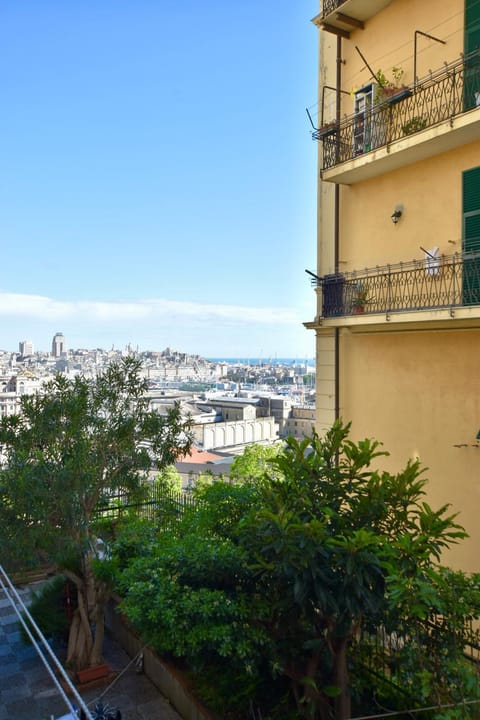 View (from property/room)