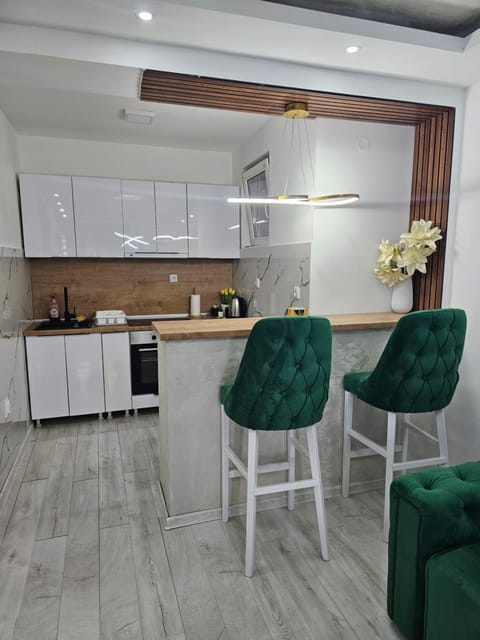 Centar Apartment in Novi Sad