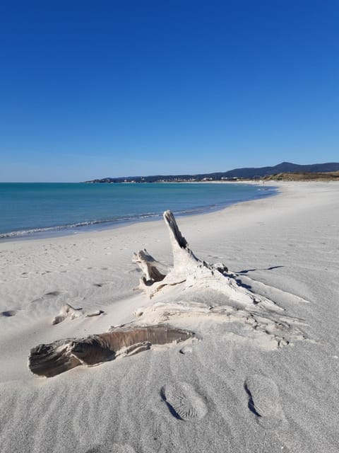 Natural landscape, Beach