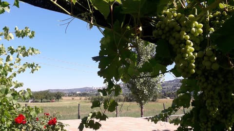 Sulla Strada di San Francesco Country House in Umbria