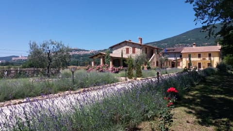 Sulla Strada di San Francesco Country House in Umbria