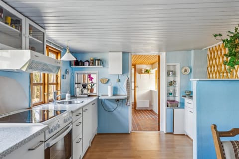 Kitchen or kitchenette, oven, pet friendly, stove