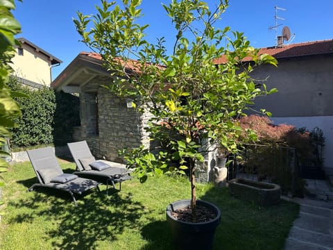 Spring, Day, Garden, Garden view, sunbed
