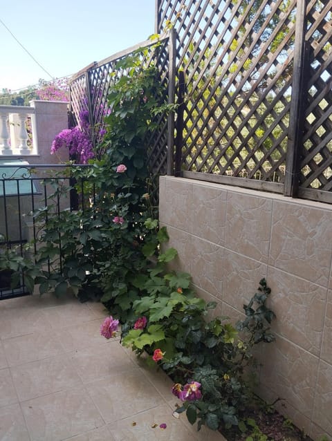 Apartment Irina Apartment in Halkidiki