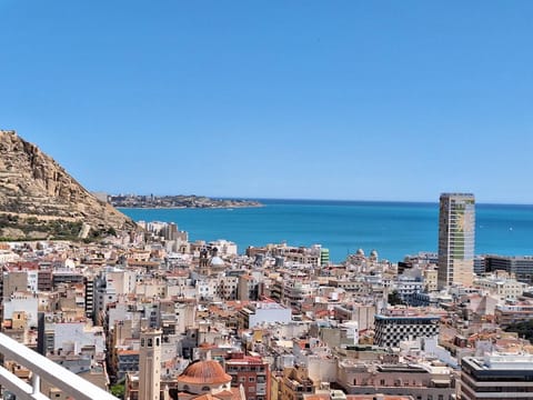 Bird's eye view, City view, Mountain view, Sea view