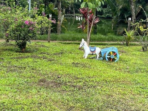 Chácara Belas Águas House in Cachoeiras de Macacu