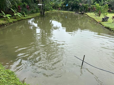Chácara Belas Águas House in Cachoeiras de Macacu