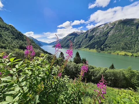 Property view
