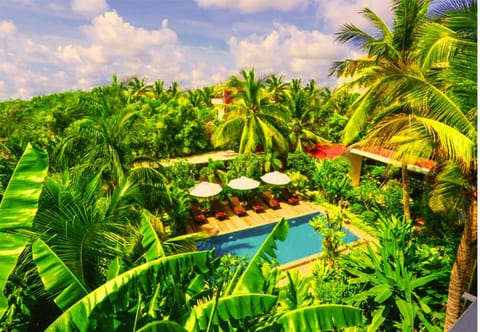 Garden, Balcony/Terrace, Garden view, Pool view, Swimming pool, Swimming pool