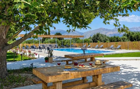 Garden, Swimming pool, sunbed