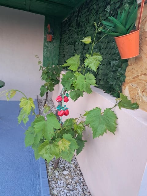 Apartman G8 Apartment in Šibenik-Knin County, Croatia