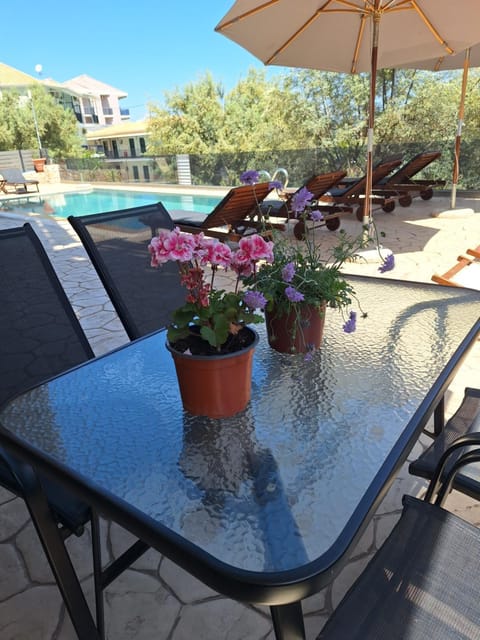 View (from property/room), Balcony/Terrace, Pool view, Swimming pool, sunbed