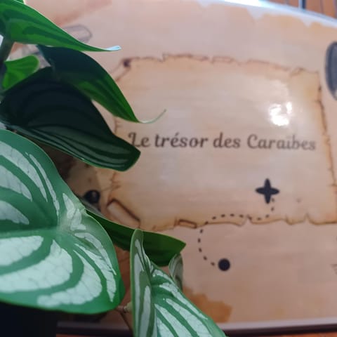 Le trésor des Caraïbes Apartment in Bussy-Saint-Georges