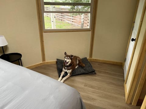 Stunning Mongolian-Style Yurt in South Fork, Colorado, for Dreamy Weekends in Nature Luxury tent in South Fork