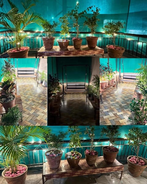 Peace & Serenity Apartment in Jaipur