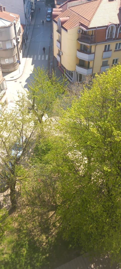 Property building, City view, Street view
