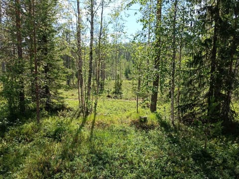 Alppivilla House in Lapland